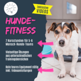 shop_hundefitness