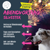 shop_vortrag_silvesterneu