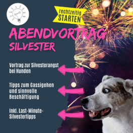 Shop_Vortrag_SilvesterNEU