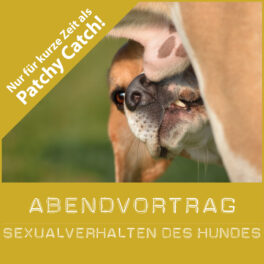 Shop-Sexualverhalten