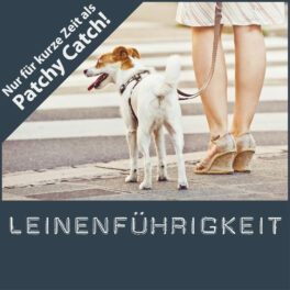 Shop-Leinenführigkeit_patchy