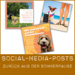 Shop-SocialMedia_ZurückSommerpause