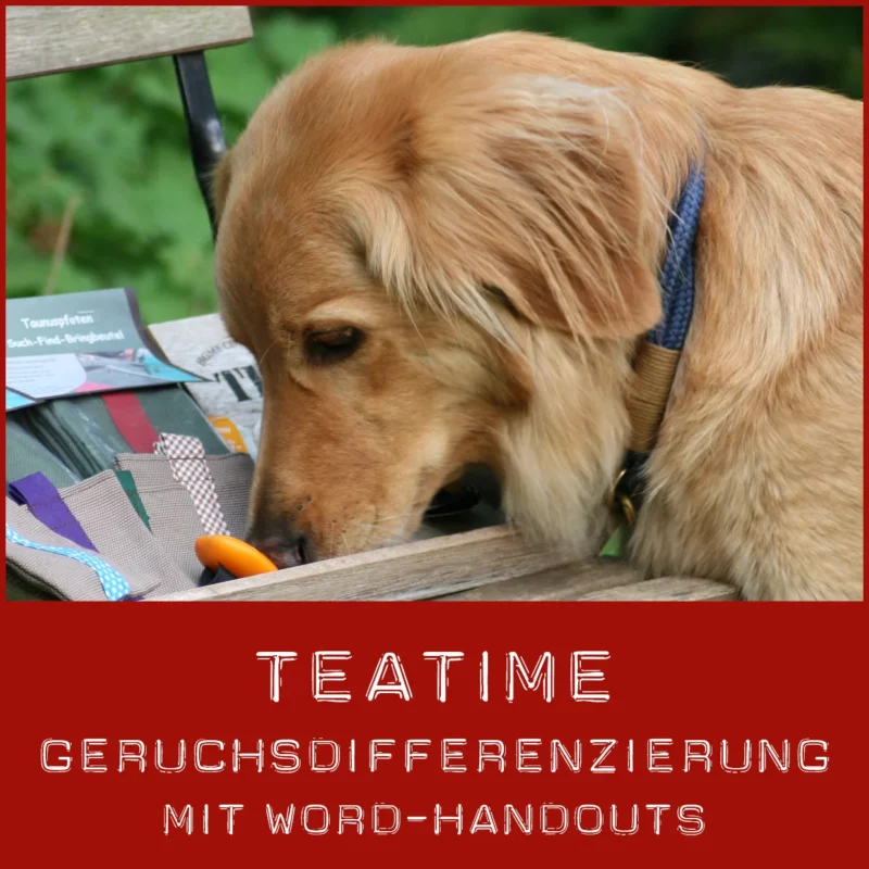 Konzept zur Geruchsdifferenzierung