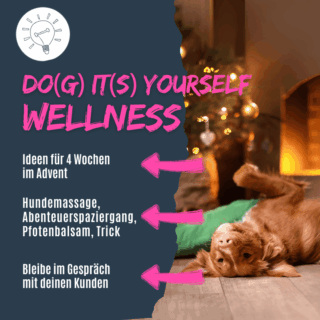Shop_dog-its-yourself-wellness