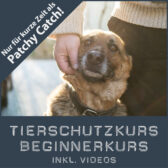 Shop-Tierschutz-Beginner_Patchy
