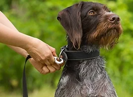 adobestock_311831538