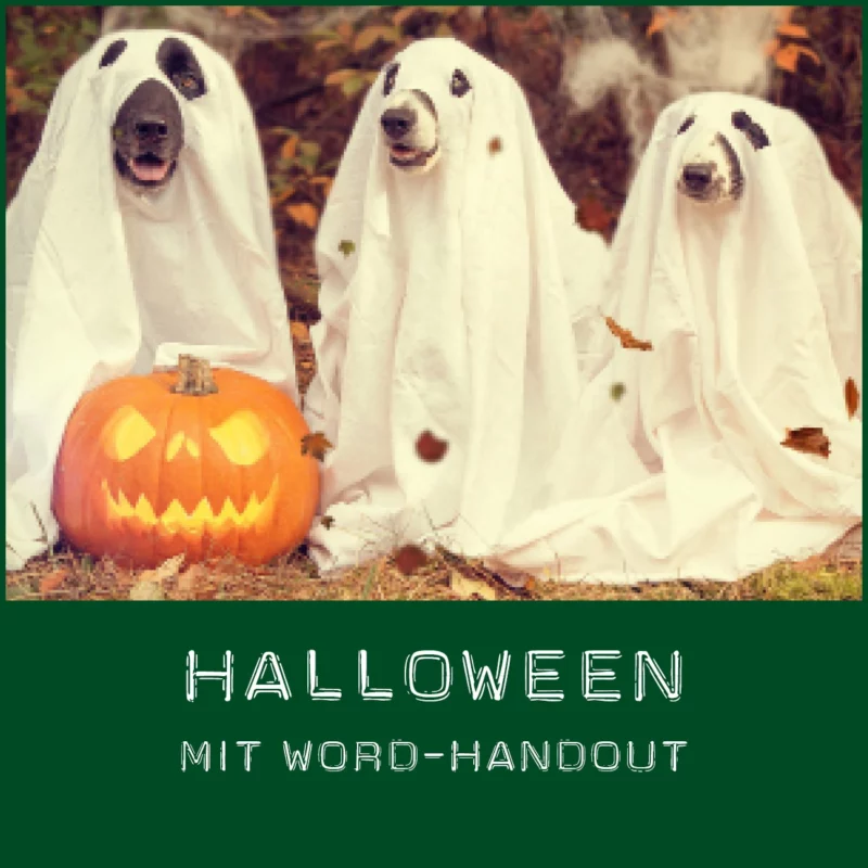 Ideen für Halloween in deiner Hundeschule