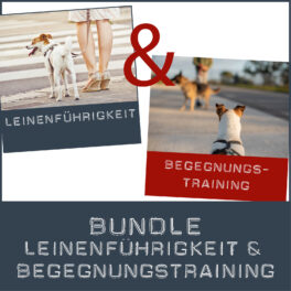Shop-Bundle_Leine_Begegnung