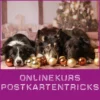 Hunde Onlinekurs zum Erlernen Süßer Tricks für Fotomotive