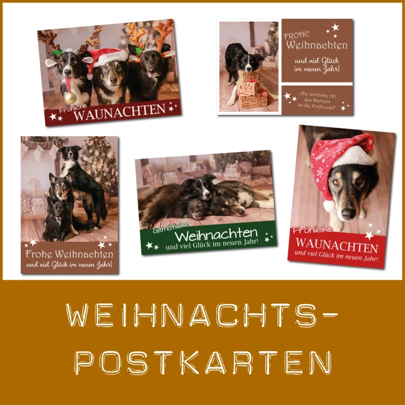 Postkarten mit Hundemotiven