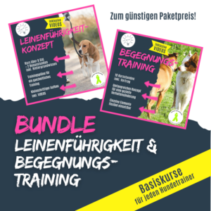 Übungen zur Leinenführigkeit und Hundebegegnungen