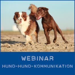 Shop-WebinarHundKommunikation