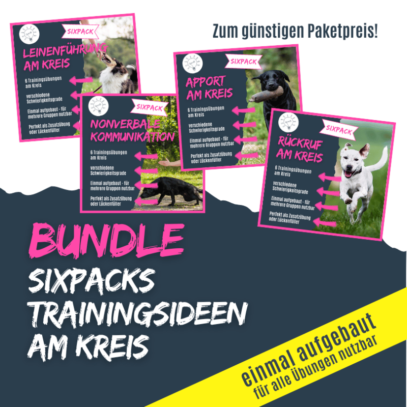 Trainingsübungen für Rückruf, Apport, Leine und nonverbale Kommunikation