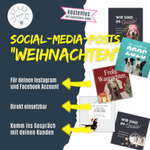Social Media Posts für Hundetrainer zu Weihnachten