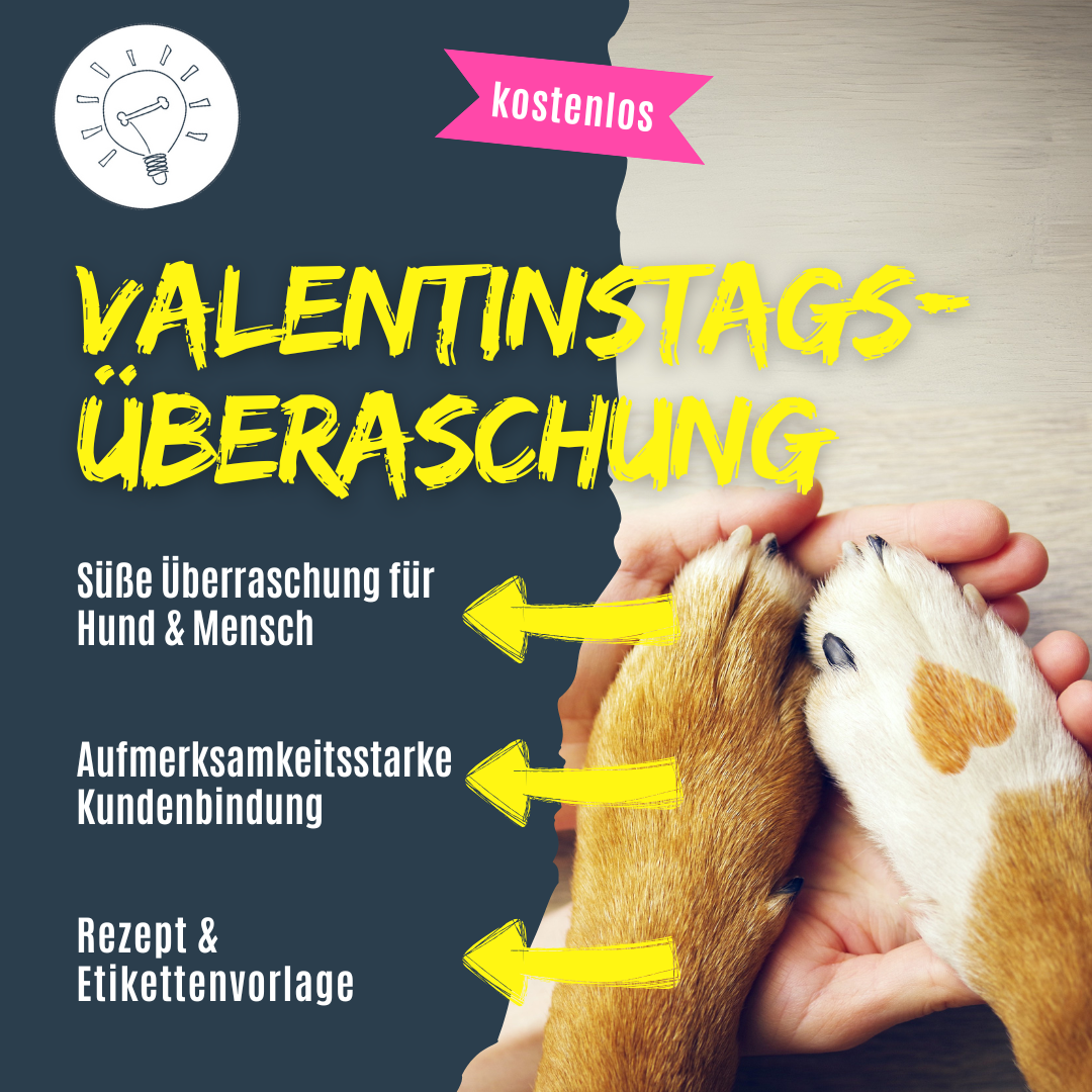 Idee für Hundetrainer zum Valentinstag