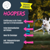 shop_hoopers