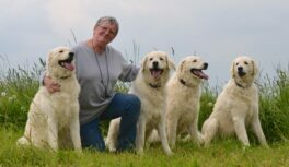 lanzerarth-fotografiert-von-strodtbeck