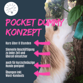 Shop_Pocket-Dummy