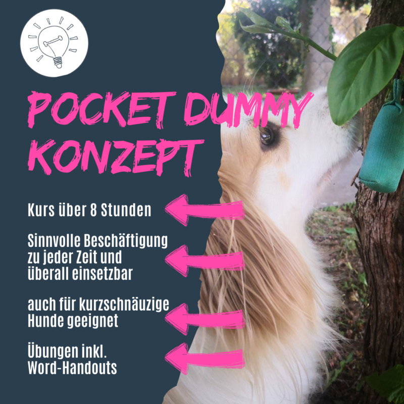 Bringe den Kunden deiner Hundeschule die Pocket-Dummy-Suche bei