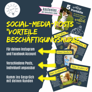 Welche Vorteile bieten Beschäftigungskurse mit Hunden?