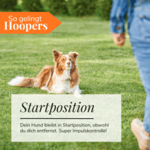 so-gelingt-hoopers1