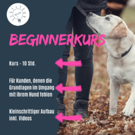 shop-beginnerkurs