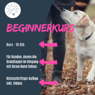Shop Beginnerkurs