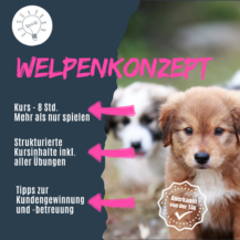 Shop_WelpengruppeNEU