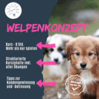Shop_WelpengruppeNEU