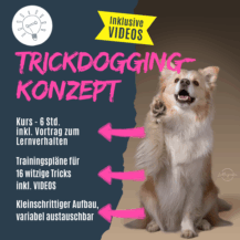 Shop_Trickdogging