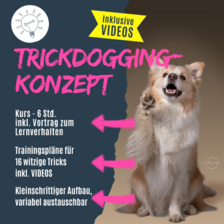 shop_trickdogging