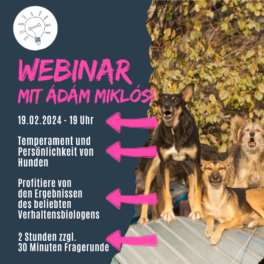 Shop_Webinar_Adam_Temperatment