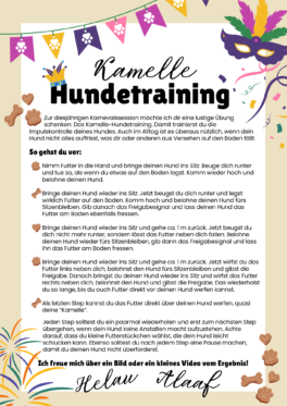 kamelle-hundetraining-1