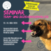 Anerkannte Fortbildung für Hundetrainer: Team- und Beziehungsanalyse