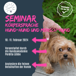 Shop_Seminar_Körpersprache_Perdi
