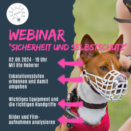 Shop_Webinar_Ute_Heberer_Selbstschutz