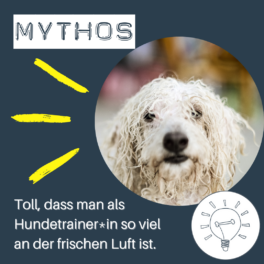 mythos-frische-luft