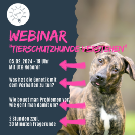 shop Webinar Tierschutz