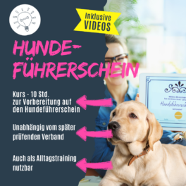 shop_hundefuehrerscheinneu