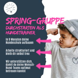 shop_spring-gruppe