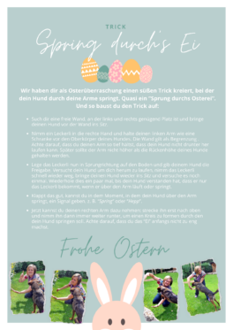trick-spring-durchs-ei