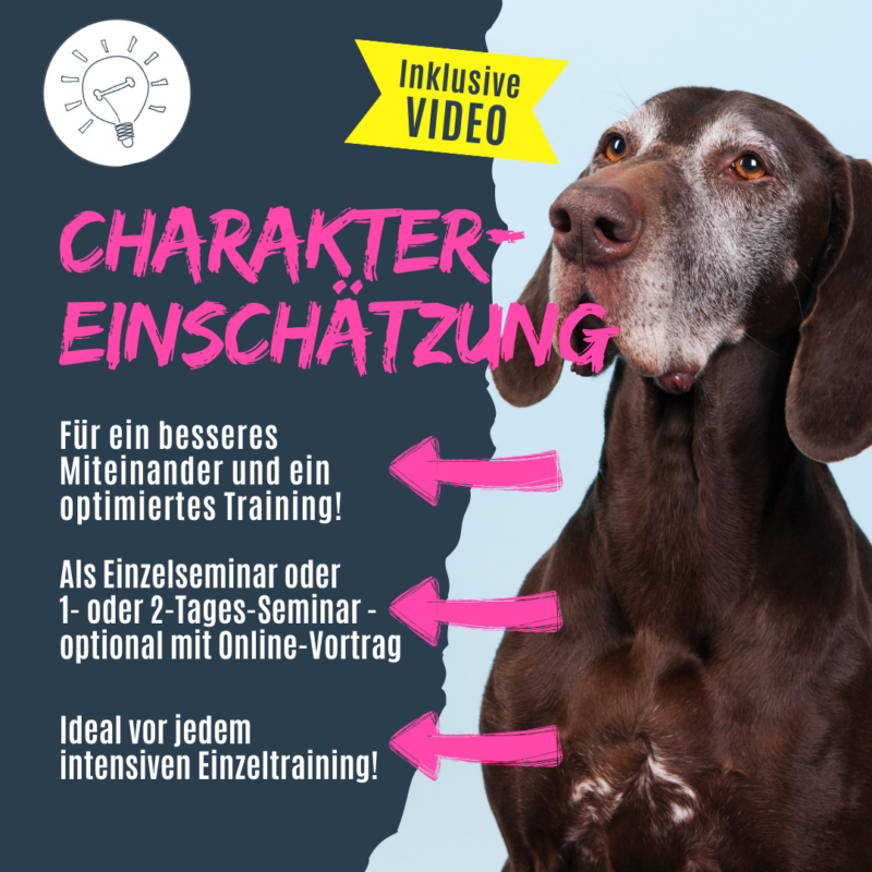 Charaktereinschätzung nach Perdita Lübbe für deine Hundeschule