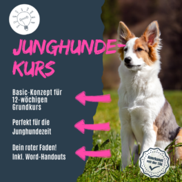 shop_junghundekurs