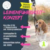 Shop_Leinenführigkeit