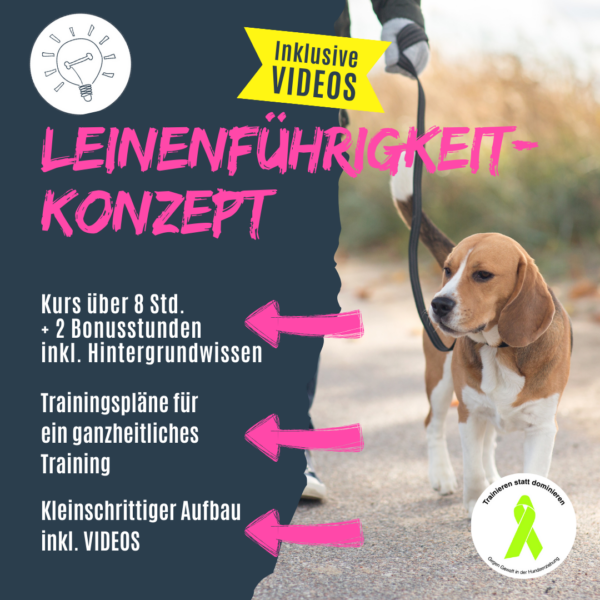 Leinenkurs für deine Hundeschule