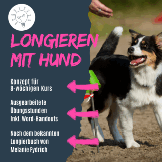 shop_longieren