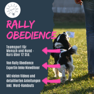 Rally Obedience Kurs für deine Hundeschule