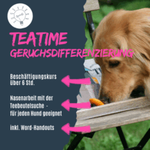 Shop_Teatime_Geruchsdifferenzierung