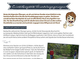 einstufungstest_begegnungstraining