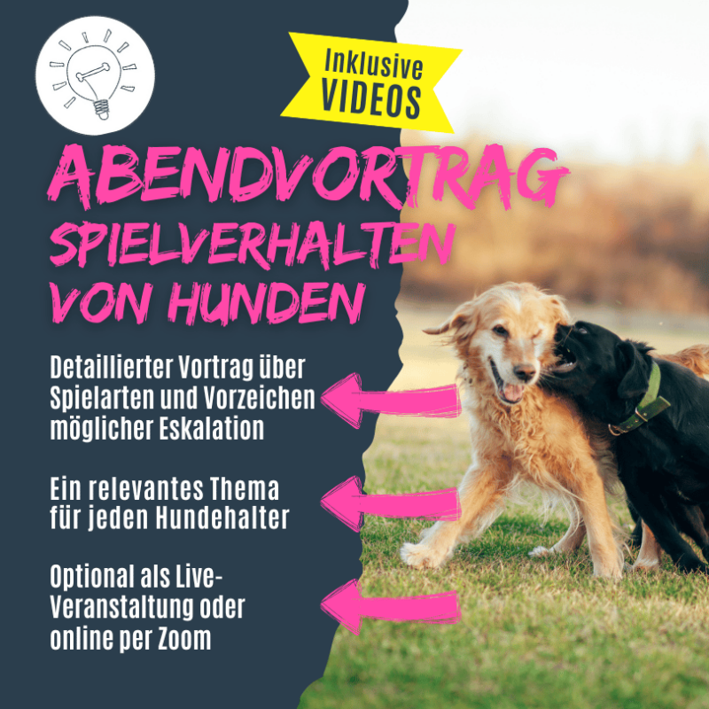 Ein Vortrag über die verschieden Spielarten der Hunde, Spielanzeichen und mögliche ungünstige Entwicklungen